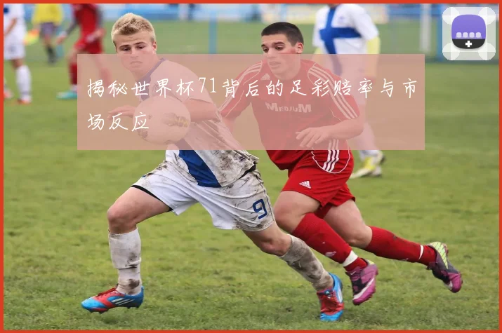 揭秘世界杯71背后的足彩赔率与市场反应