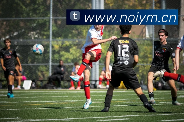 星空体育注册入口APP 封面图